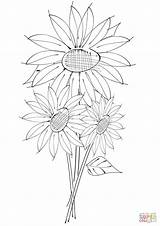 Ausmalbilder Sunflowers Sonnenblumen sketch template