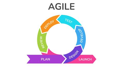software development life cyclesdlc   agile