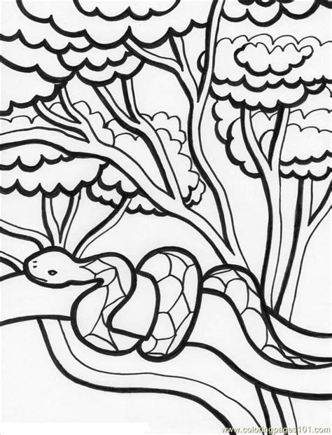 jungle scene coloring pages coloring home