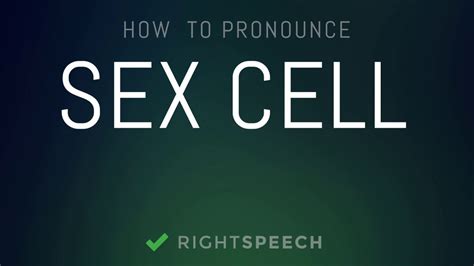 sex cell how to pronounce sex cell youtube