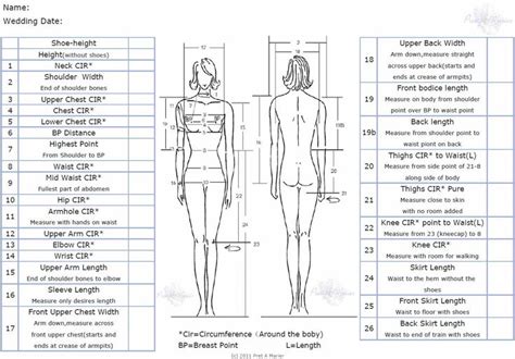 measurements   womans body   measurements  front   side views