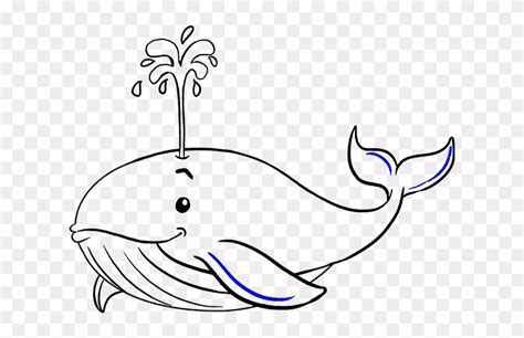blue whale drawing outline orca clipart  images black  white