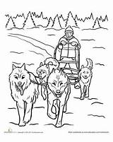 Sled Husky Iditarod Traineau Inuit Banquise Esquimaux Musher Apprendre Maternelle écrire Inuits Polaires Quizizz Ouvrir sketch template