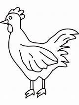 Coloring Pages Chicken Chickens Cliparts Clipart Animals Cock Printable Cute Library Birds Book sketch template