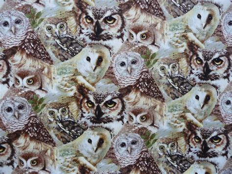 owl fabric woodland fabric owls   giordano studio