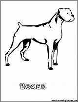 Boxer Coloring Fun Pages sketch template