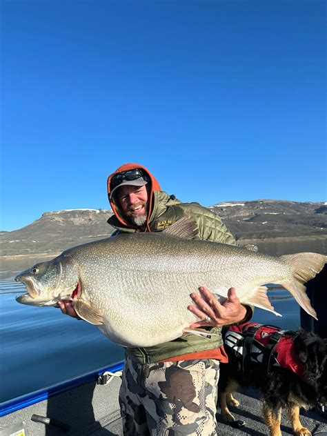 angler catches  world record lake trout tacticalusanet