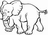 Coloring Pages Mammal Getcolorings Animal Wildlife sketch template