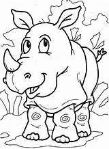 Coloring Rhino Pages Rhinoceros Popular Color sketch template