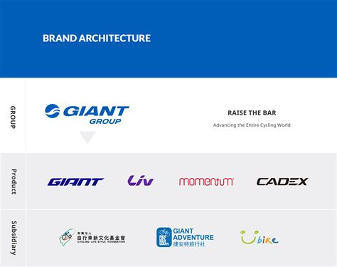 giant manufacturing establishes  giant group brand architecture asia bike