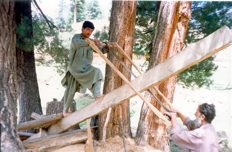 cutting wood  khunjerab   offroaders club karachi