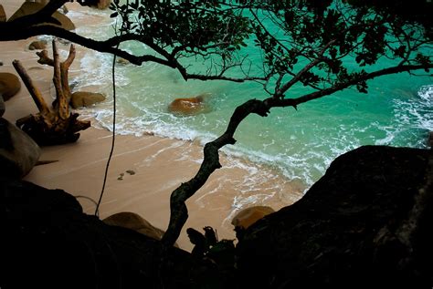 Nudey Beach Fitzroy Island National Park By Asskwoo
