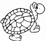 Tortoise Coloring sketch template