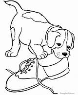 Coloring Pages Dog Pet Puppy Printable Print sketch template