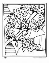 Blossom Cherry Colorat Primavara Toamna Coloriage Primavera Chinois Blossoms Planse Colorier Inflorit Copaci Infloriti Ume Chine Cires Dessin Fiori Cerisier sketch template