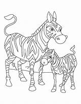 Zebra Coloring Baby Pages Foal Mother Printable Animal Its Clipart Kids Mom Standing Cute Born Just Drawing Color Getcolorings Library sketch template