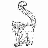 Coloring Pages Lemur Animals Crocodile Owls sketch template