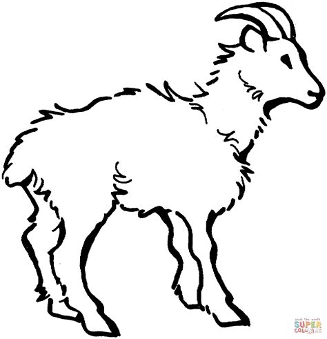 goat printables coloring pages coloring home