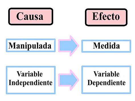 Variables Dependiente E Independiente Concepto Y Ejemplos Variables Images