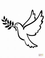 Coloring Dove Peace Pages Printable Drawing sketch template