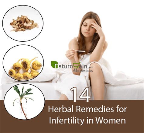 14 Effective Herbal Remedies For Infertility In Women Treat