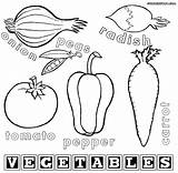 Vegetables Coloring Pages Vegetable Fruits Fruit Preschool Color Albanysinsanity Food Great Print Popular sketch template