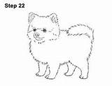 Pomeranian Dog Draw Puppy Drawing Easy Outline Drawings Cute Simple Coloring Pages Line Step Dogs How2drawanimals Pomeranians Learn Animal Pom sketch template