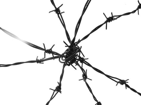 barbed wire   photo  freeimages