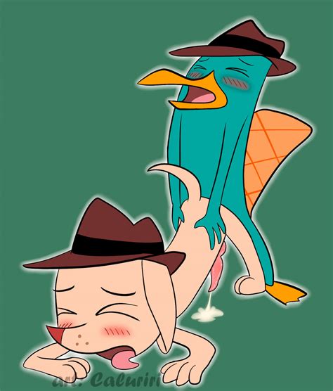 perry 7 perry the platypus sorted by position luscious