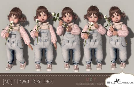 life marketplace sc  cheese flower pose pack