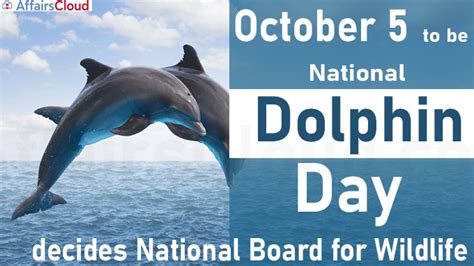 national board  wildlife decides  observe national dolphin day
