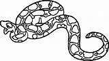 Boa Rainforest Constrictor Clipartmag Wecoloringpage sketch template