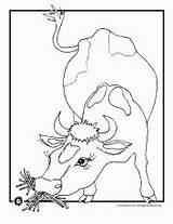 Coloring Pages Cow Cows Farm Skinny Fat Animal Related Coloringhome sketch template