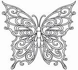 Coloring Butterfly Pages Whimsical Template Fancy Productid Urbanthreads Aspx sketch template