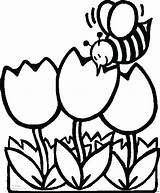 Coloring Pages Bee Tulips Flowers Kids Printable Print Sheet sketch template