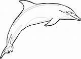 Dolphin Delfino Delfin Ausmalbilder Dauphin Ausmalen Colorare Colouring Malvorlagen Dolphins Disegni Indietro Clipartmag Coloriages sketch template