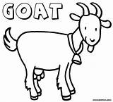 Goat Coloring Pages Kids Printable Cartoon Drawing Print Boer Color Sheet Animal Cute Mountain Domestic Getcolorings Getdrawings Results Adult Colori sketch template