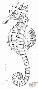 Zeepaardjes Seahorse Kleurplaat Kleurplaten Seahorses Persoonlijke sketch template