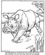 Coloring Pages Rhinoceros Rhino Zoo Animals Animal Drawing Indian Kids Color Fun Printing Help sketch template
