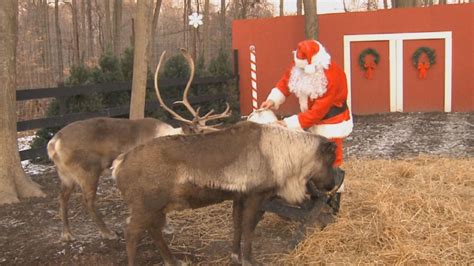watch santa feed his reindeer