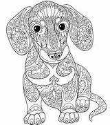 Printable Coloring Pages Mandala Animal Adults Animals Color Colouring Adult Dachshund Print Line Getdrawings Zen After Getcolorings Colorings Drawing sketch template