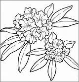 Blumen Fiori Fiore Visit Gifgratis sketch template