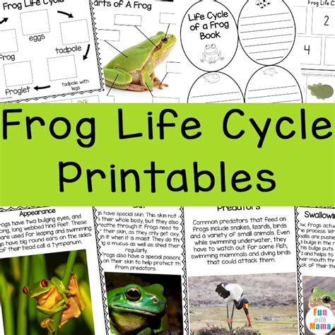 frog blog printables printable word searches