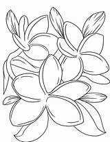 Coloring Pages Violet Popular sketch template