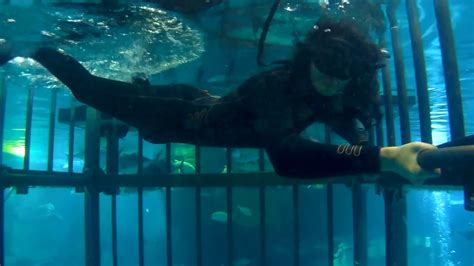 snorkeling  dubai mall aquarium youtube