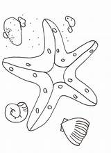 Starfish Coloring Pages Printable Kids Drawing Jos Getdrawings sketch template