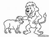Coloring Lamb Lion Pages Comments sketch template