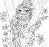 Ausmalbilder Mandala Sloth sketch template