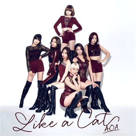 Download [single] Aoa Like A Cat [japanese] Mp3