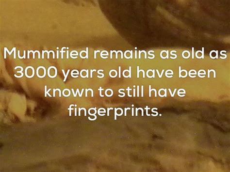 Disturbing Facts That Will Chill You Right To The Bone 20 Pics